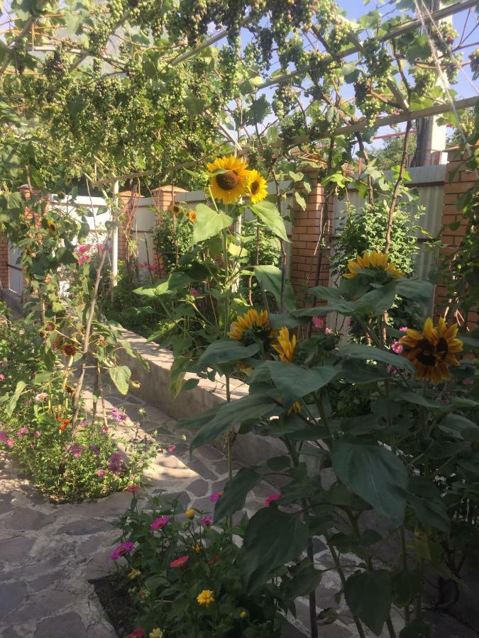 Aspindza Oasis 아파트 외부 사진